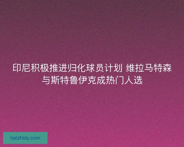 印尼积极推进归化球员计划 维拉马特森与斯特鲁伊克成热门人选 印尼积极推进归化球员计划 维拉马特森与斯特鲁伊克成热门人选