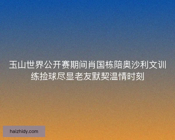 玉山世界公开赛期间肖国栋陪奥沙利文训练捡球尽显老友默契温情时刻 玉山世界公开赛期间肖国栋陪奥沙利文训练捡球尽显老友默契温情时刻