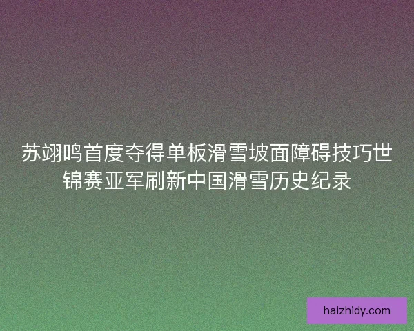 苏翊鸣首度夺得单板滑雪坡面障碍技巧世锦赛亚军刷新中国滑雪历史纪录 苏翊鸣首度夺得单板滑雪坡面障碍技巧世锦赛亚军刷新中国滑雪历史纪录